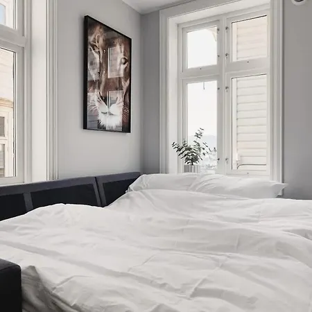 Dinbnb Appartments L 300 M To Bryggen & Floyen! Optimized In 2023 公寓 卑爾根
