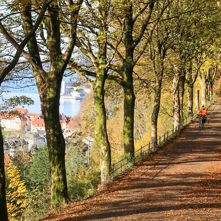 Dinbnb Appartments L 300 M To Bryggen & Floyen! Optimized In 2023 卑爾根